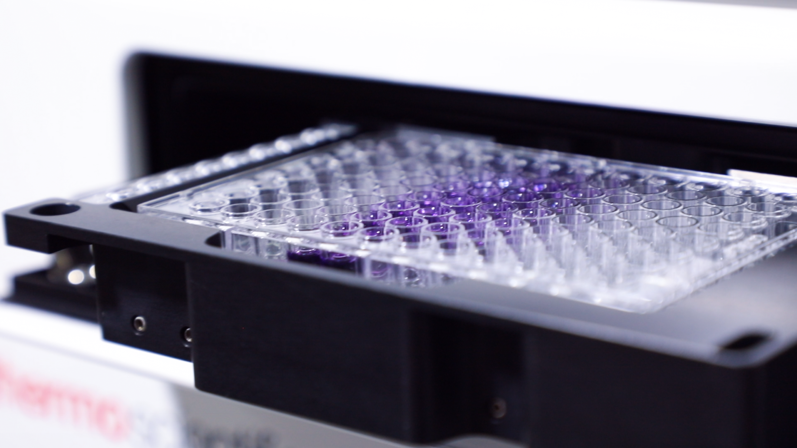 bevictor伟德官网 - 韦德官方网站