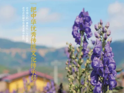 bevictor伟德官网 - 韦德官方网站