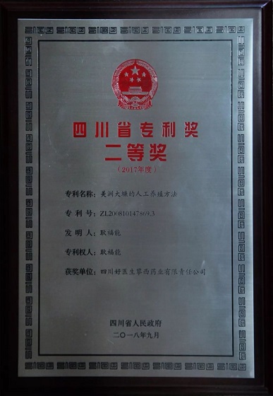 bevictor伟德官网 - 韦德官方网站