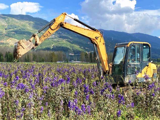 bevictor伟德官网 - 韦德官方网站