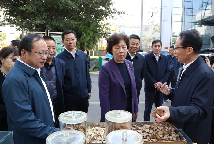 bevictor伟德官网 - 韦德官方网站