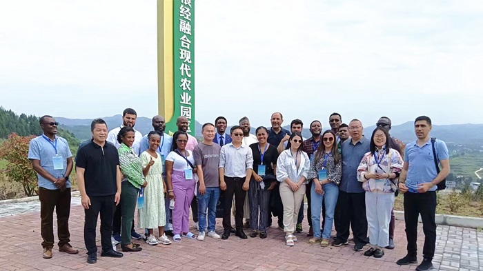 bevictor伟德官网 - 韦德官方网站