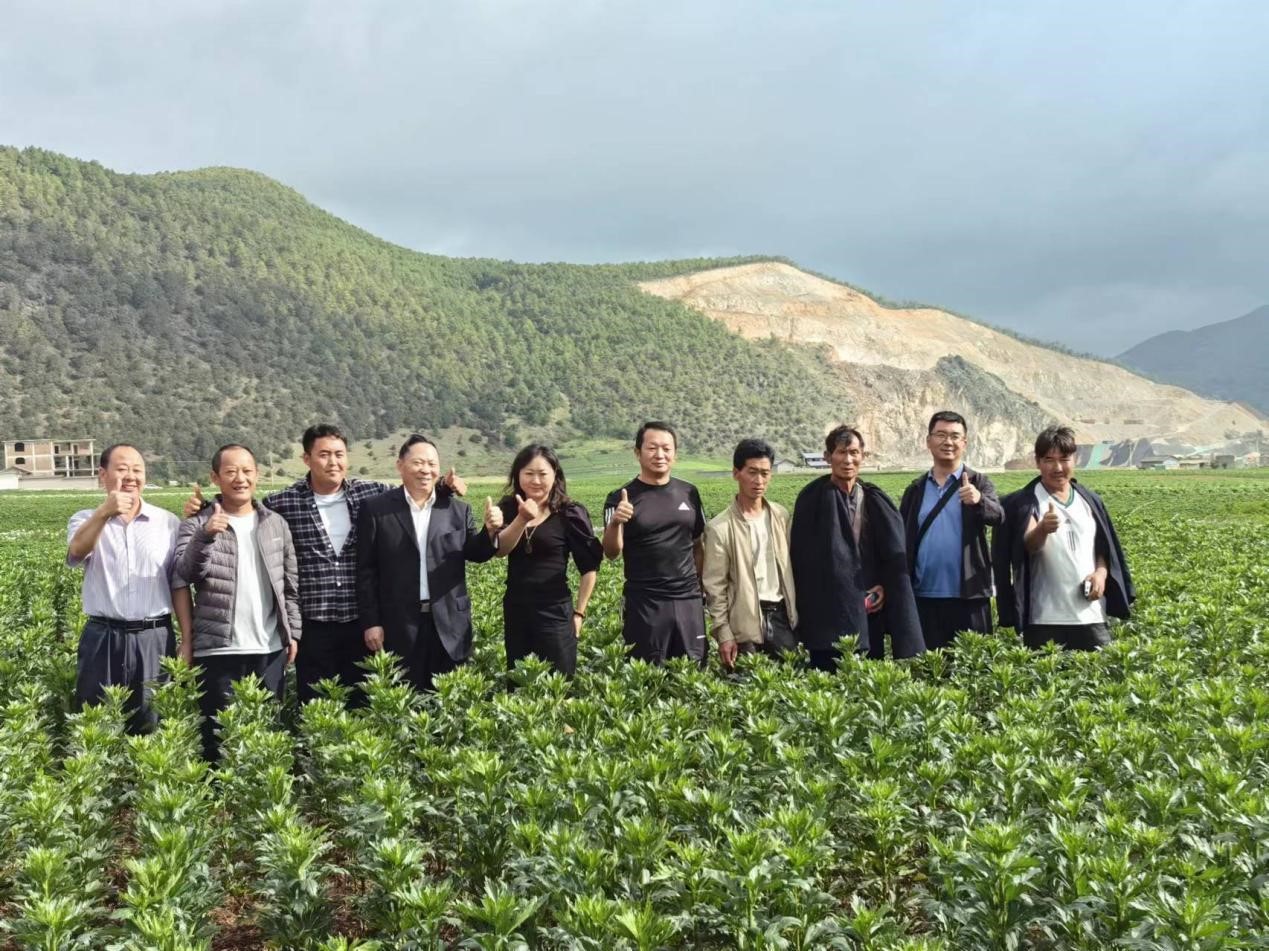 bevictor伟德官网 - 韦德官方网站