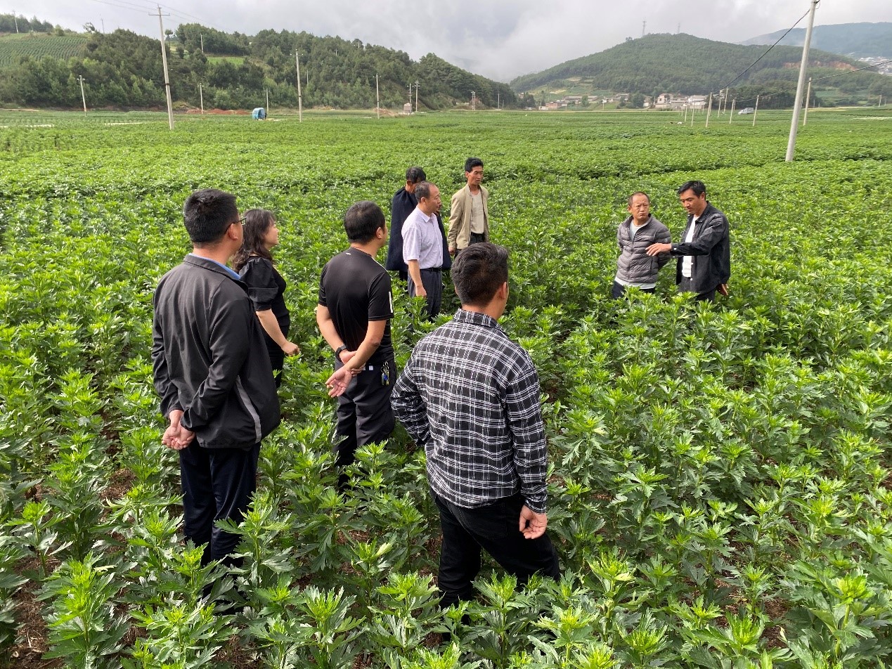 bevictor伟德官网 - 韦德官方网站