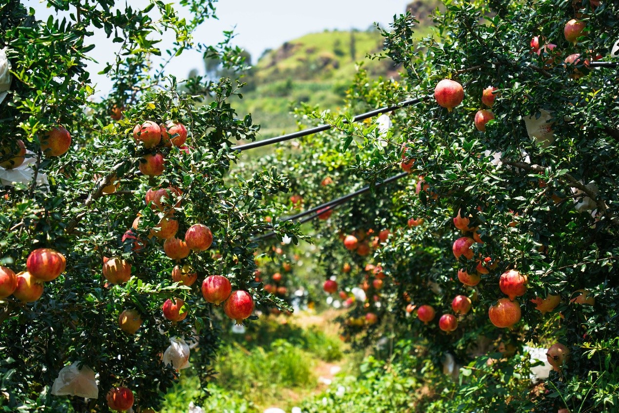 bevictor伟德官网 - 韦德官方网站