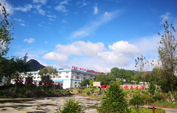 bevictor伟德官网 - 韦德官方网站