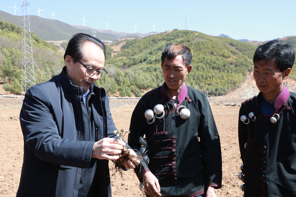 bevictor伟德官网 - 韦德官方网站