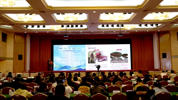 bevictor伟德官网 - 韦德官方网站