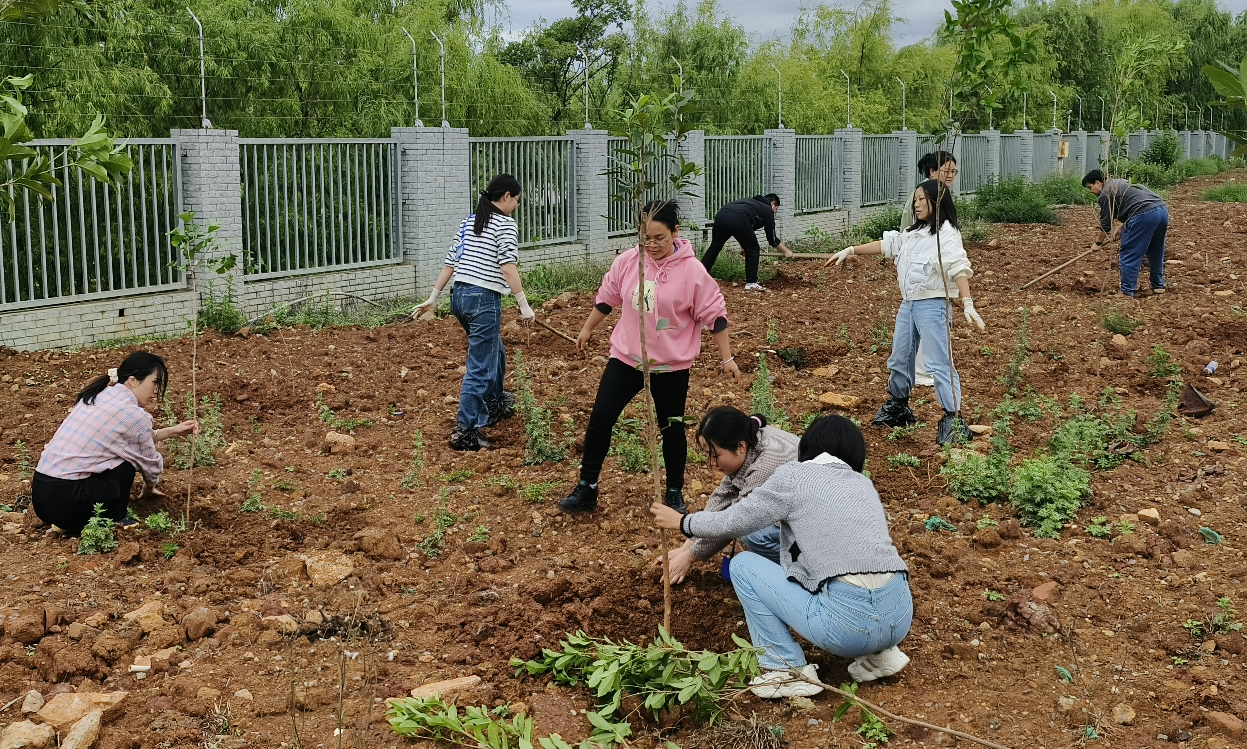 bevictor伟德官网 - 韦德官方网站