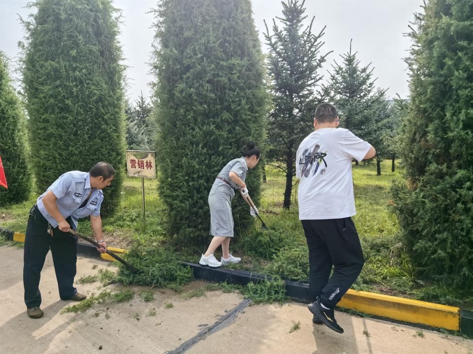 bevictor伟德官网 - 韦德官方网站