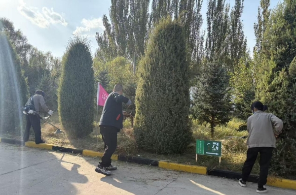 bevictor伟德官网 - 韦德官方网站