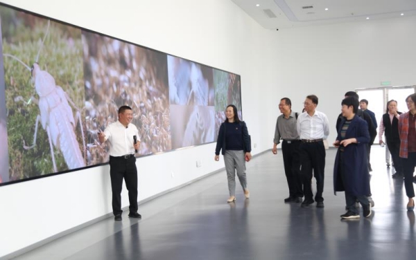 bevictor伟德官网 - 韦德官方网站