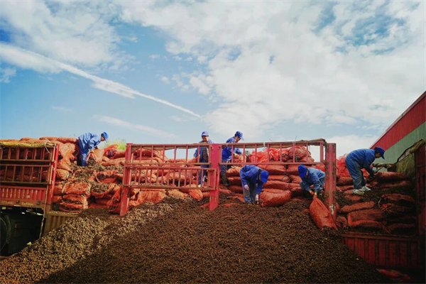 bevictor伟德官网 - 韦德官方网站