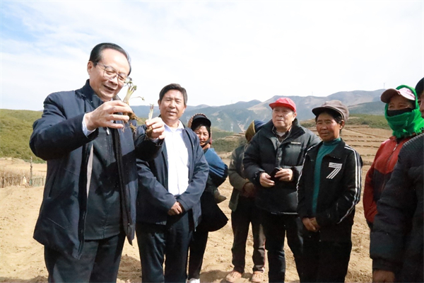 bevictor伟德官网 - 韦德官方网站