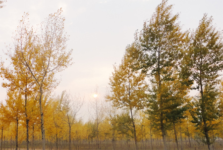 bevictor伟德官网 - 韦德官方网站