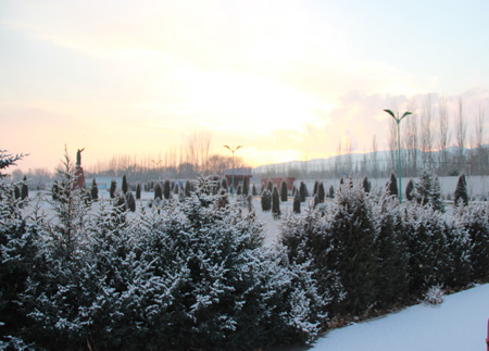 bevictor伟德官网 - 韦德官方网站