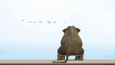 bevictor伟德官网 - 韦德官方网站