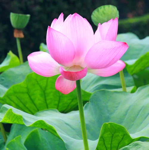 bevictor伟德官网 - 韦德官方网站