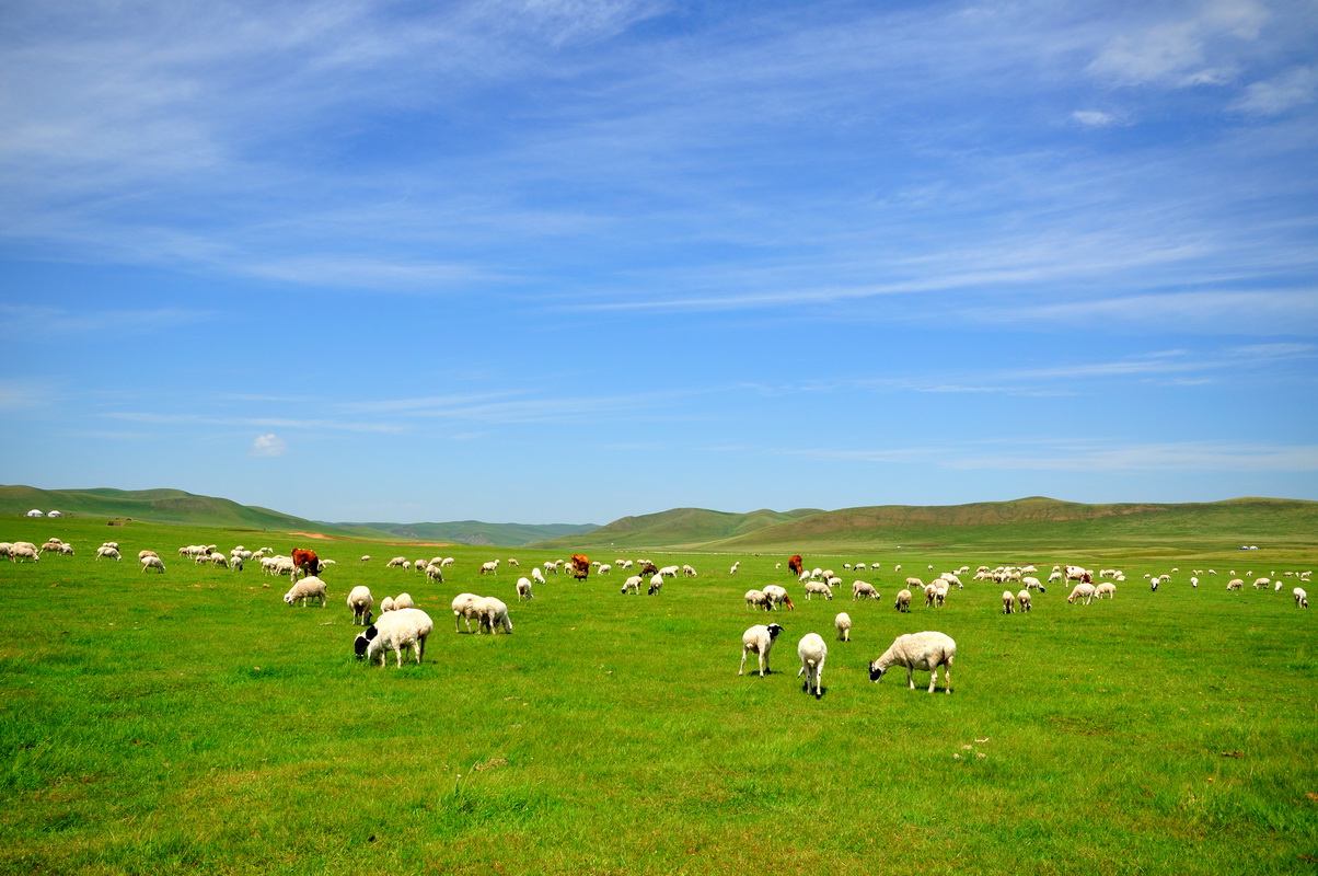 bevictor伟德官网 - 韦德官方网站