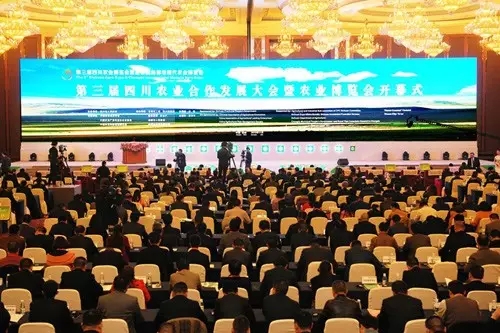 bevictor伟德官网 - 韦德官方网站