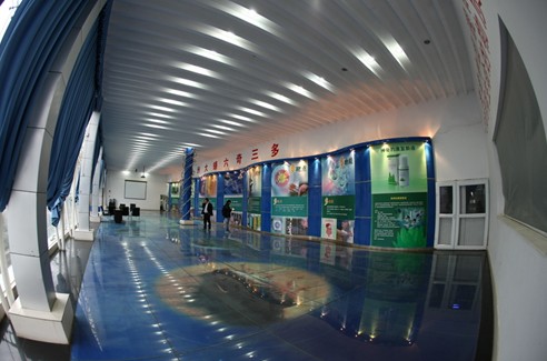 韦德网站官方入口美洲大蠊GAP养殖基地