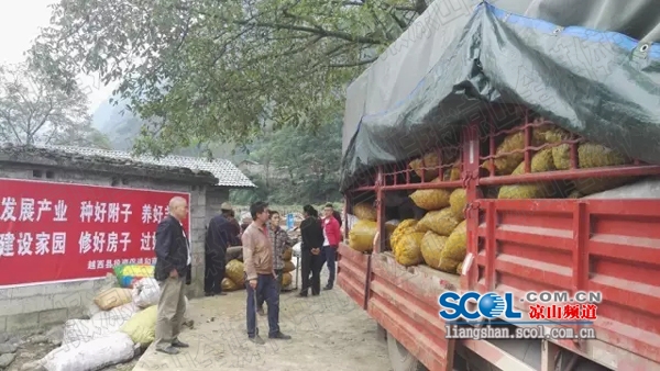 bevictor伟德官网 - 韦德官方网站