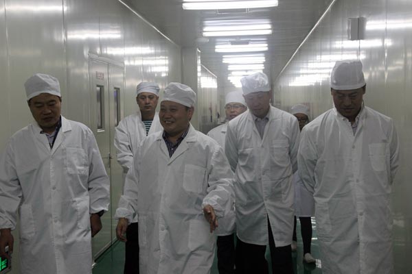 bevictor伟德官网 - 韦德官方网站