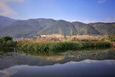 bevictor伟德官网 - 韦德官方网站