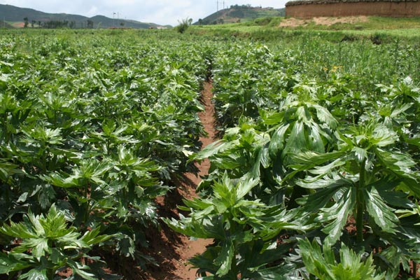 bevictor伟德官网 - 韦德官方网站