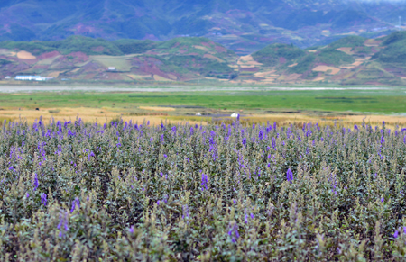 bevictor伟德官网 - 韦德官方网站