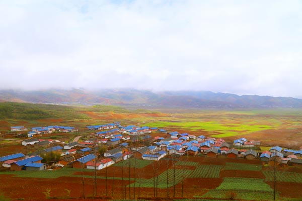 bevictor伟德官网 - 韦德官方网站