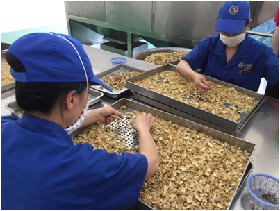 bevictor伟德官网 - 韦德官方网站