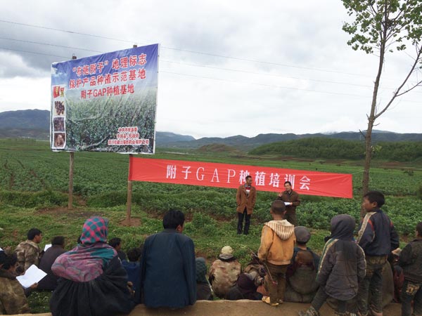 bevictor伟德官网 - 韦德官方网站