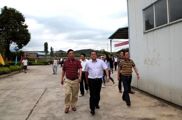 bevictor伟德官网 - 韦德官方网站