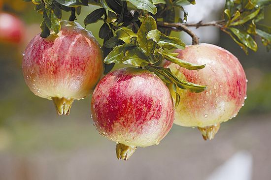 bevictor伟德官网 - 韦德官方网站