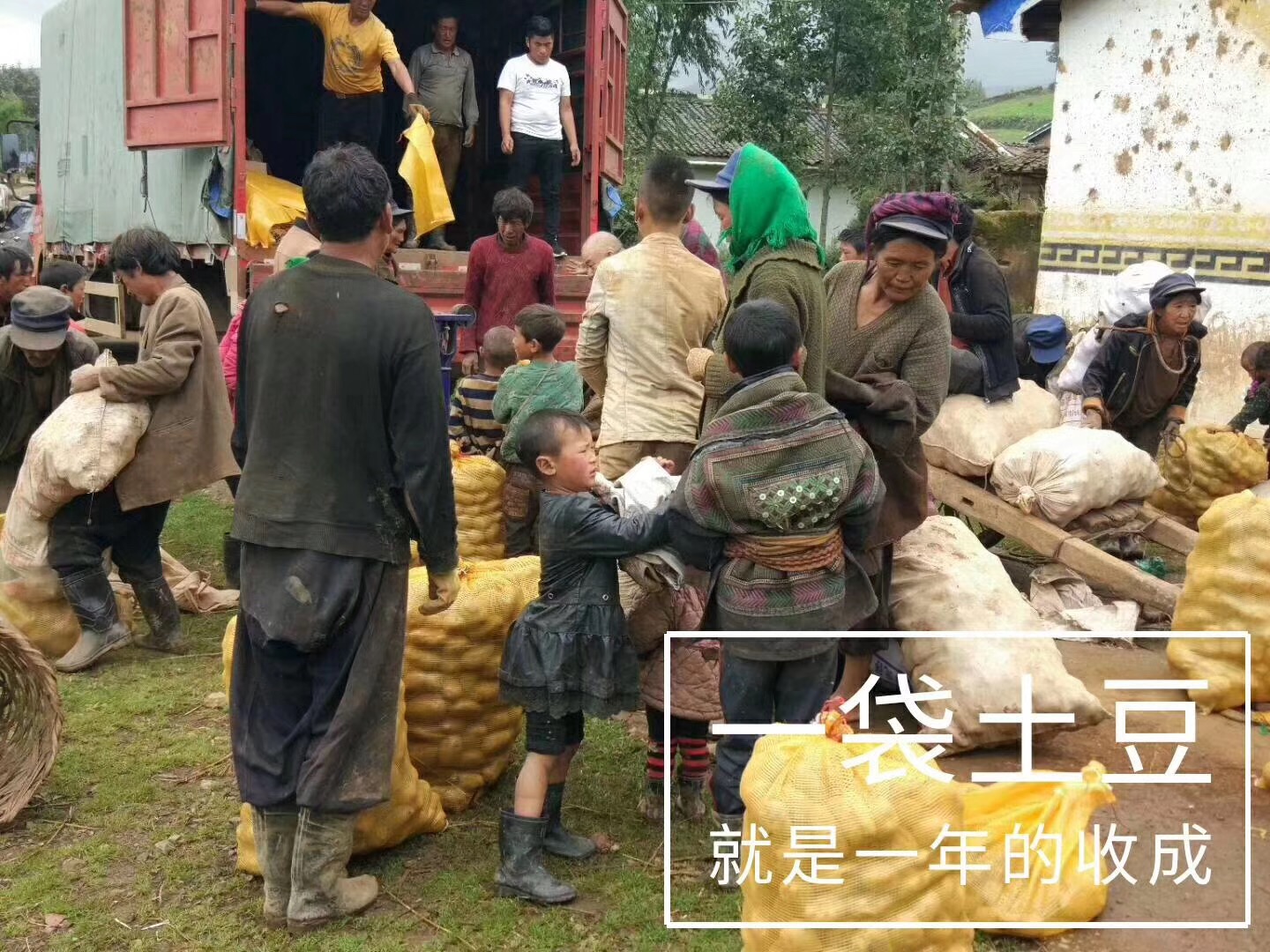 bevictor伟德官网 - 韦德官方网站