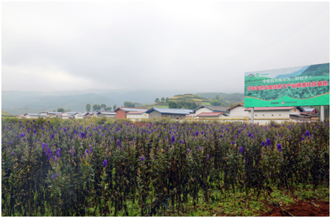 bevictor伟德官网 - 韦德官方网站