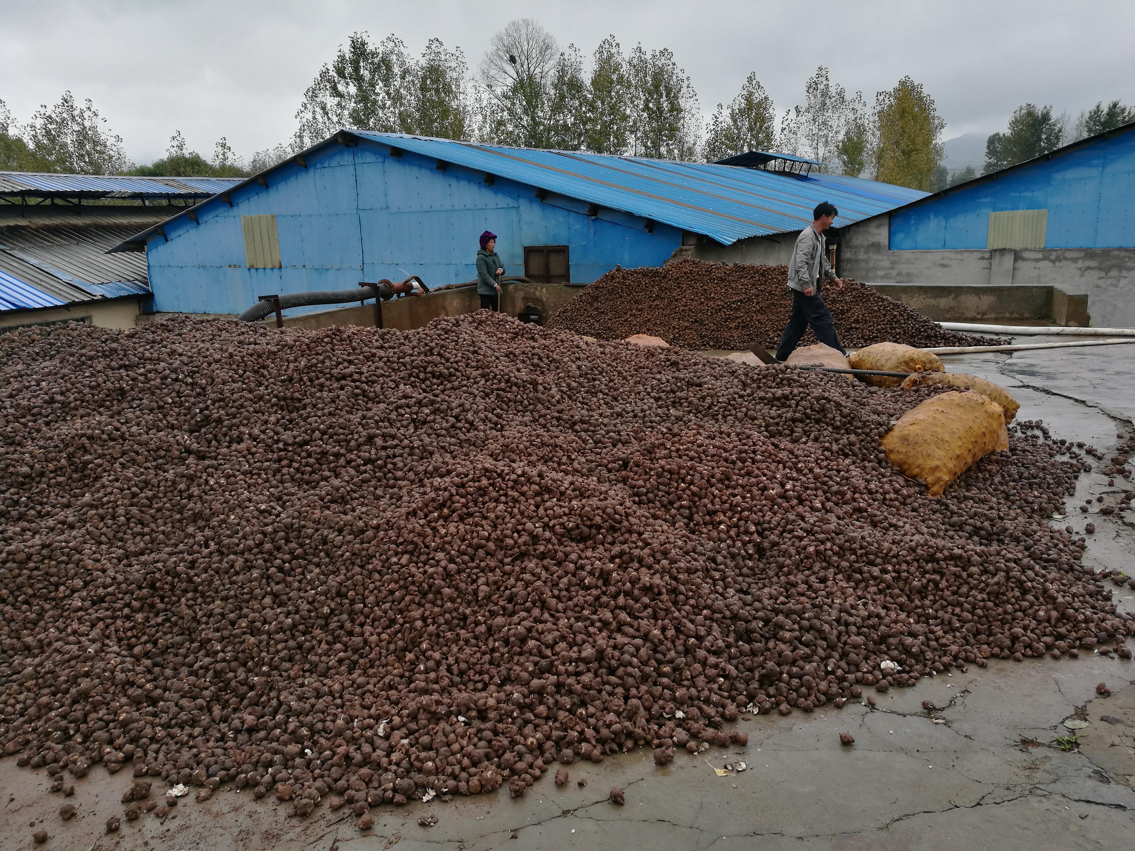 bevictor伟德官网 - 韦德官方网站