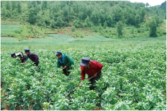 bevictor伟德官网 - 韦德官方网站