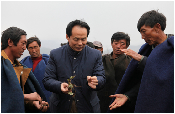 bevictor伟德官网 - 韦德官方网站