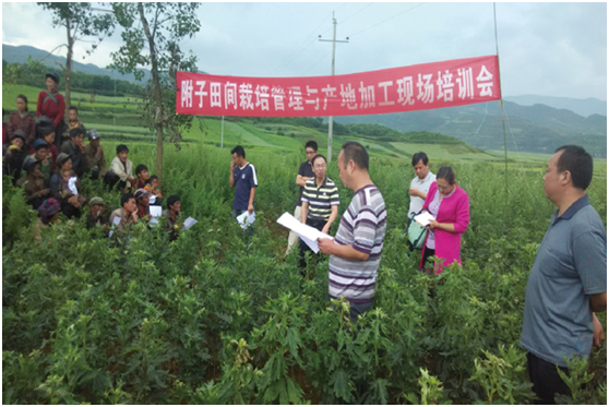 bevictor伟德官网 - 韦德官方网站