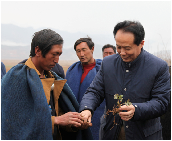 bevictor伟德官网 - 韦德官方网站