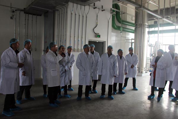 bevictor伟德官网 - 韦德官方网站