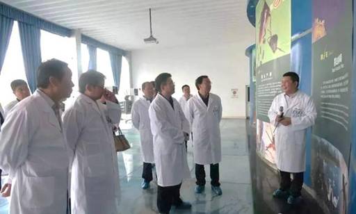 bevictor伟德官网 - 韦德官方网站