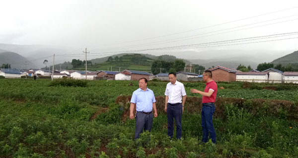 bevictor伟德官网 - 韦德官方网站