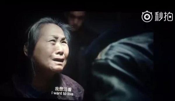 bevictor伟德官网 - 韦德官方网站