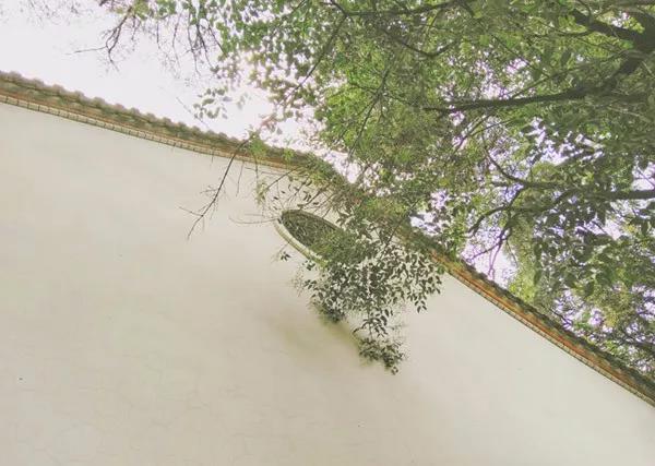 bevictor伟德官网 - 韦德官方网站