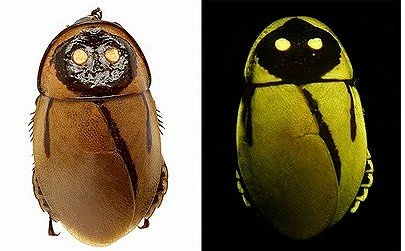 bevictor伟德官网 - 韦德官方网站