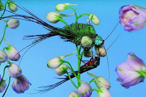 bevictor伟德官网 - 韦德官方网站