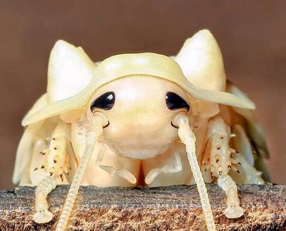 bevictor伟德官网 - 韦德官方网站